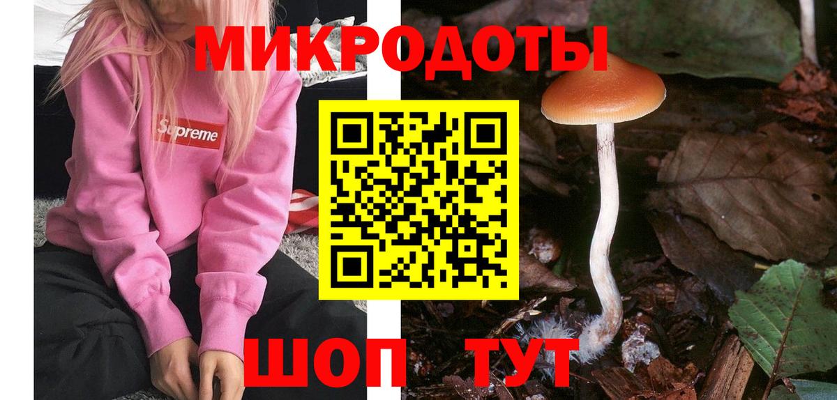 Псилоцибиновые грибы Cubensis  Вход с VPN  Ртищево 