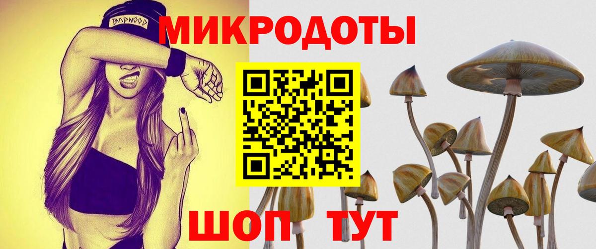Псилоцибиновые грибы ЛСД Ртищево